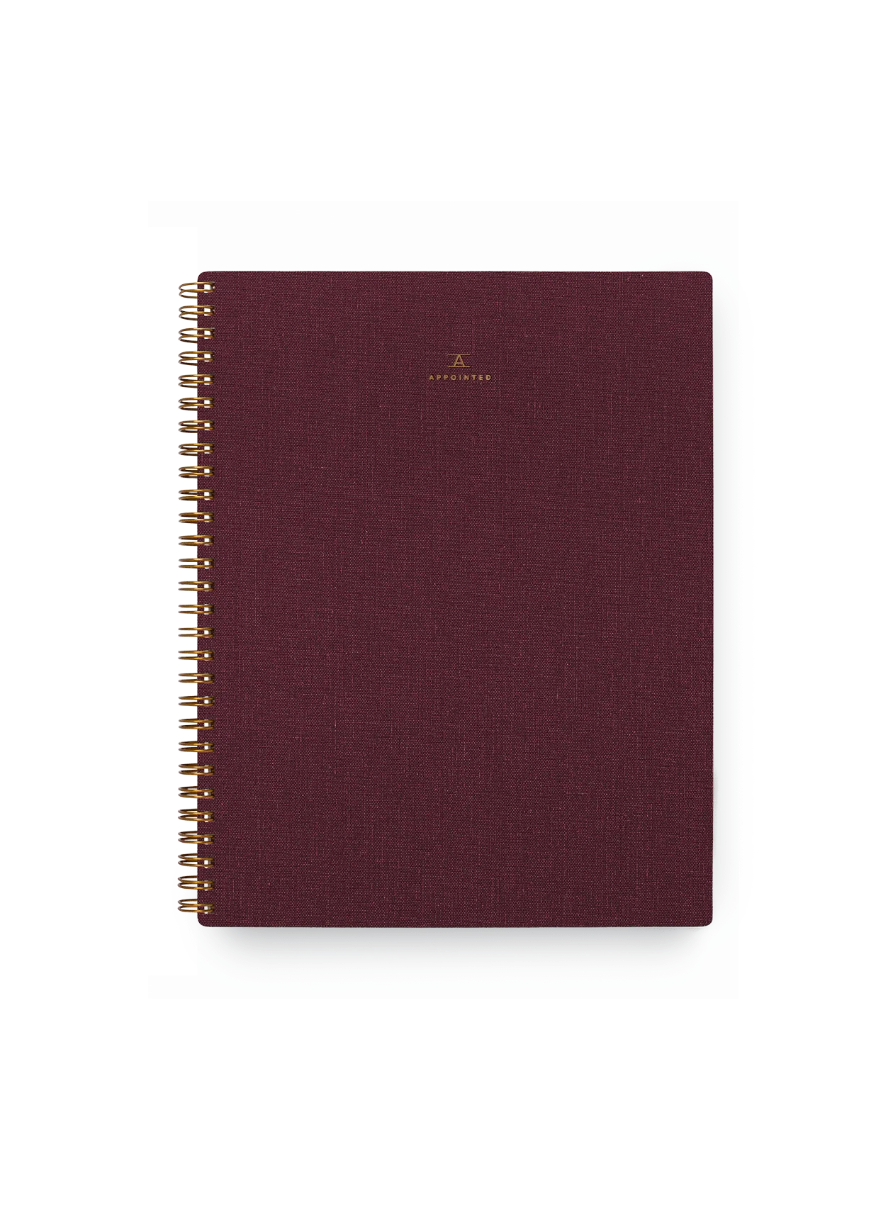 The Notebook - Image 5